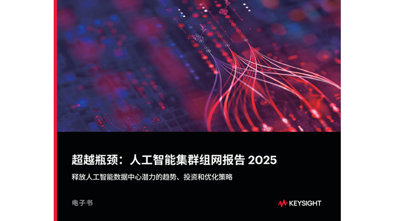 超越瓶颈：人工智能集群组网报告 2025